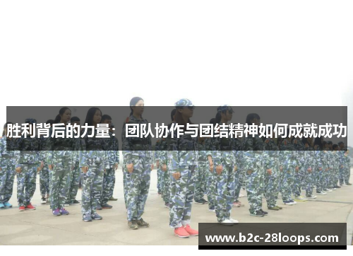 胜利背后的力量：团队协作与团结精神如何成就成功